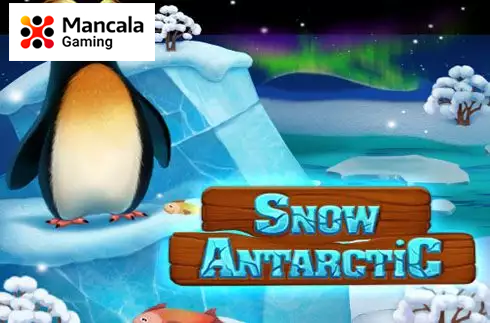 Snow Antarctic